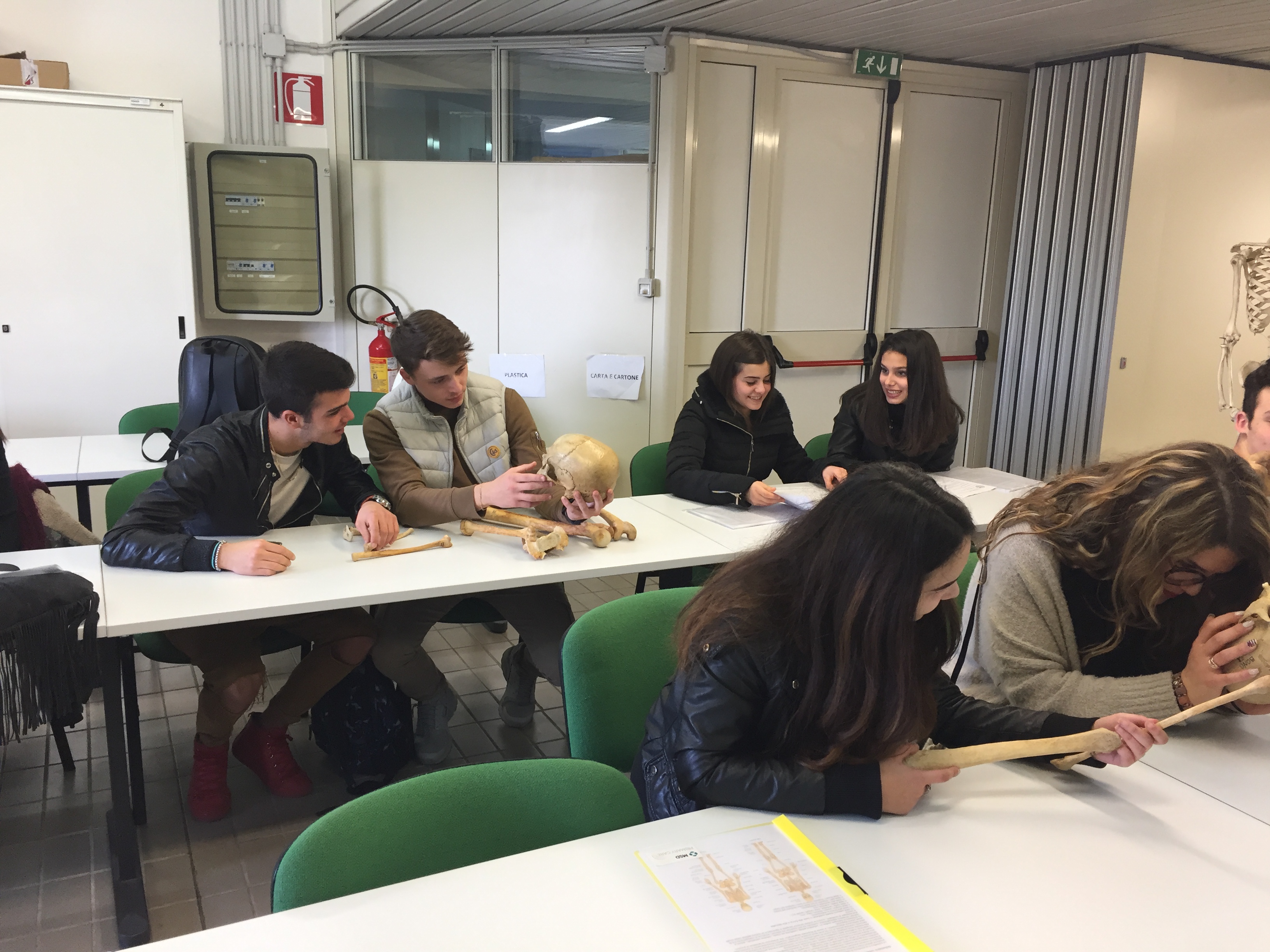 Occupazioni Per Laureati In Scienze Naturali